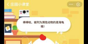 11月23日小鸡课堂答案 今日小鸡课堂答案