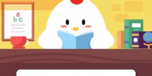 11月14日小鸡课堂答案 今日小鸡课堂答案