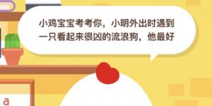 小明外出时遇到一只看起来很凶的流浪狗他最好? 3月22日蚂蚁庄园今日答案