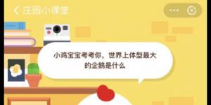 世界上体型最大的企鹅是什么？2020年3月27日今天蚂蚁庄园答案是什么