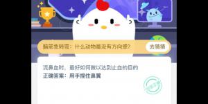 流鼻血时，最好如何做以达到止血的目的？支付宝小鸡庄园答案4月15日