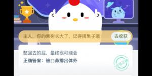 憋回去的屁，最终很可能会 支付宝小鸡庄园答案5月13日