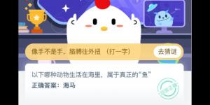 哪种动物生活在海里属于真正的鱼 支付宝小鸡庄园答案5月22日
