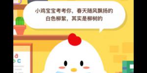 春天随风飘扬的白色柳絮其实是柳树的 2020年5月27日今天蚂蚁庄园答案是什么