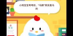 马蹄其实是马的 2020年5月31日今天蚂蚁庄园答案是什么