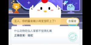 什么动物吃仙人掌都不觉得扎嘴 支付宝小鸡庄园答案5月25日