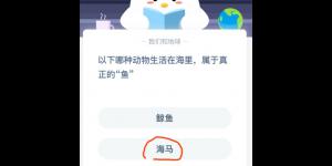 以下哪种动物生活在海里属于真正的鱼 支付宝小鸡庄园答案6月2日