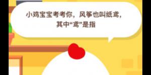 风筝也叫纸鸢其中鸢是指 2020年6月17日今天蚂蚁庄园答案是什么