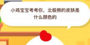 北极熊的皮肤是什么颜色的 2020年6月14日今天蚂蚁庄园答案是什么