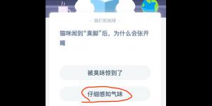 猫咪闻到臭脚后，为什么会张开嘴 2020年6月26日今天蚂蚁庄园答案是什么