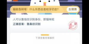 人可以靠指纹识别身份，那猫咪呢 支付宝小鸡庄园答案6月13日