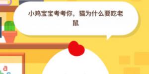 猫为什么要吃老鼠？2020年6月15日今天蚂蚁庄园答案是什么