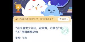 老夫聊发少年狂，左牵黄，右擎苍中，苍是指哪种动物 蚂蚁庄园今日答案最新4月30日