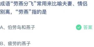 成语劳燕分飞常用来比喻夫妻、情侣别离，劳燕指的是？庄园小课堂今天答案最新2021年5月10日