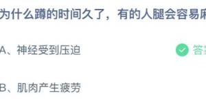 为什么蹲的时间久了，有的人腿会容易麻？蚂蚁庄园今日答案最新5月14日
