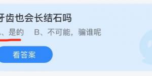 牙齿也会长结石吗？蚂蚁庄园9月30日今日答案最新