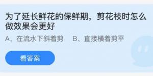 为了延长鲜花的保鲜期剪花枝时怎么做效果会更好？蚂蚁庄园9月14日今日答案最新