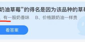 奶油草莓的得名是因为该品种的草莓？蚂蚁庄园小课堂今天答案最新9月29日