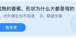 成熟的香蕉形状为什么大都是弯的？蚂蚁庄园小课堂今天答案最新9月20日