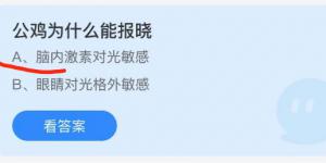 公鸡为什么能报晓？蚂蚁庄园10月9日今日答案最新