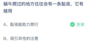 蜗牛爬过的地方往往会有一条黏液它有啥用？蚂蚁庄园10月23日今日答案最新