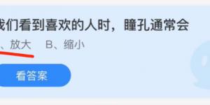 我们看到喜欢的人时瞳孔通常会？蚂蚁庄园11月24日今日答案最新