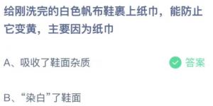 给刚洗完的白色帆布鞋裹上纸巾能防止它变黄主要因为纸巾？蚂蚁庄园11月10日今日答案最新