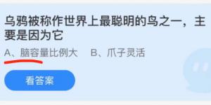 乌鸦被称作世界上最聪明的鸟之一，主要是因为它？蚂蚁庄园小课堂今天答案最新11月11日