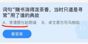 词句赌书消得泼茶香当时只道是寻常用了谁的典故？蚂蚁庄园小课堂12月6日答案最新