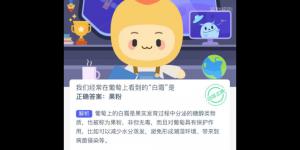 蚂蚁新村12月7日答案最新 支付宝蚂蚁新村小课堂今日答案