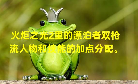 火炬之光2里的漂泊者双枪流人物和技能的加点分配。