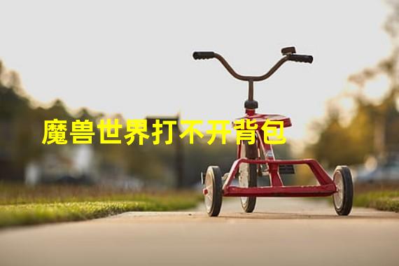 魔兽世界打不开背包