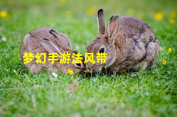梦幻手游法风带