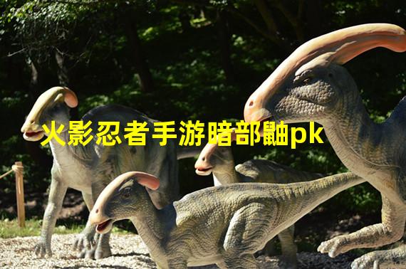 火影忍者手游暗部鼬pk