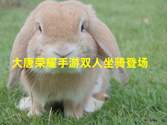 大唐荣耀手游双人坐骑登场