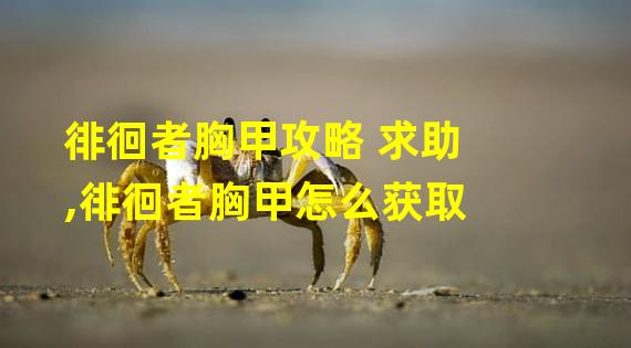 徘徊者胸甲攻略 求助,徘徊者胸甲怎么获取