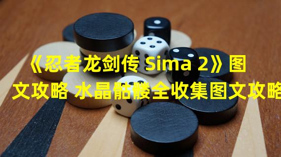 《忍者龙剑传 Sima 2》图文攻略 水晶骷髅全收集图文攻略