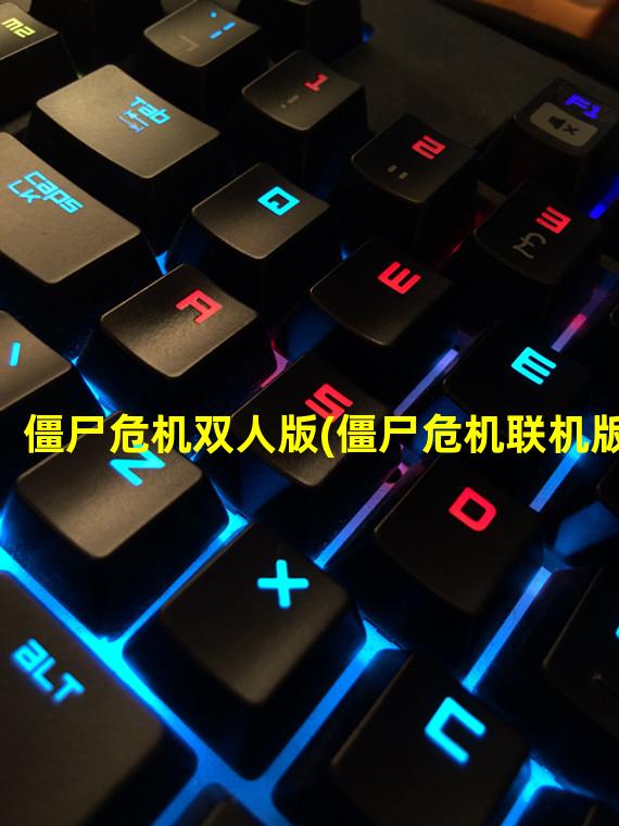 僵尸危机双人版(僵尸危机联机版)