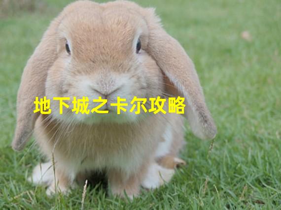 地下城之卡尔攻略