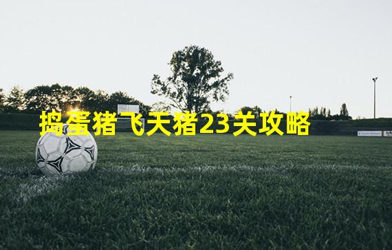 捣蛋猪飞天猪23关攻略