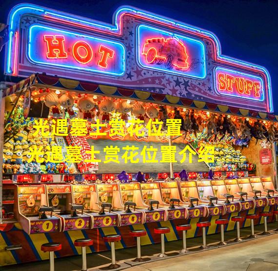 光遇墓土赏花位置 光遇墓土赏花位置介绍