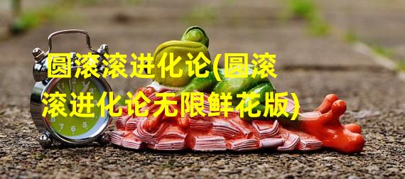 圆滚滚进化论(圆滚滚进化论无限鲜花版)