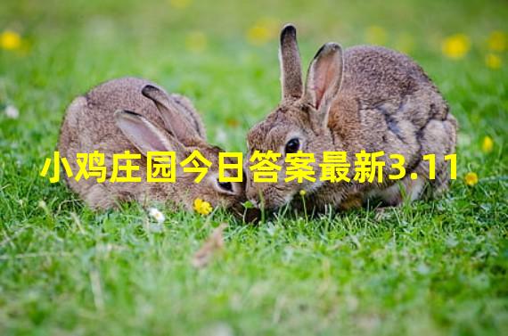 小鸡庄园今日答案最新3.11