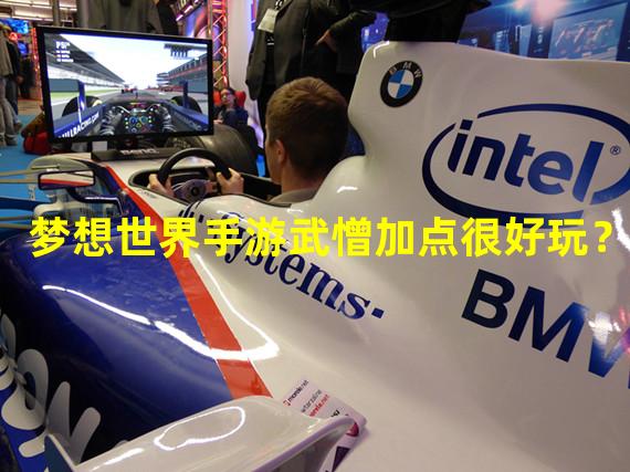 梦想世界手游武憎加点很好玩？