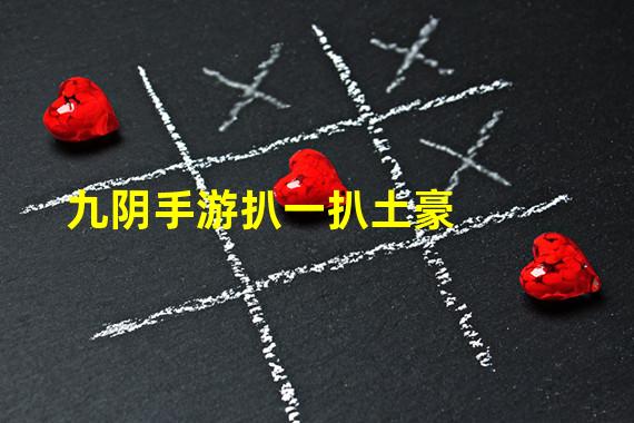 九阴手游扒一扒土豪