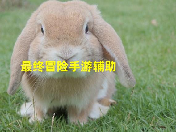 最终冒险手游辅助