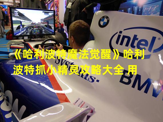 《哈利波特魔法觉醒》哈利波特抓小精灵攻略大全 用