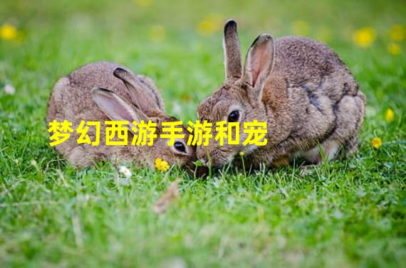 梦幻西游手游和宠